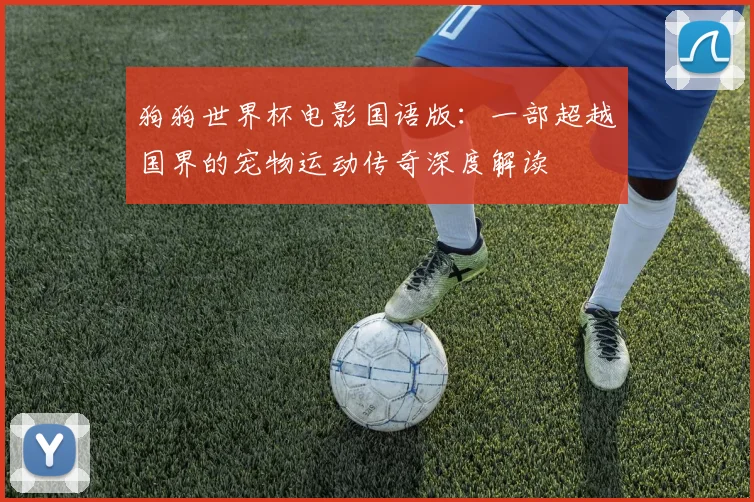 狗狗世界杯电影国语版:一部超越国界的宠物运动传奇深度解读