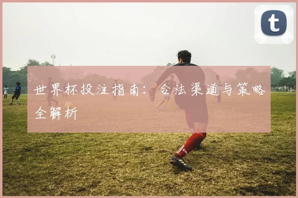 世界杯投注指南：合法渠道与策略全解析