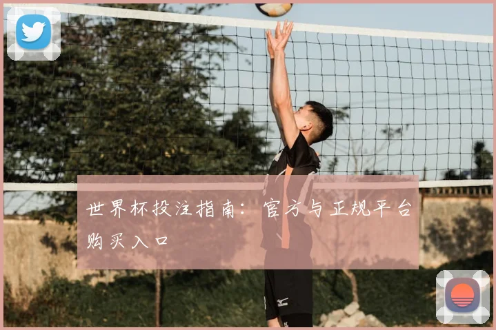 世界杯投注指南：官方与正规平台购买入口