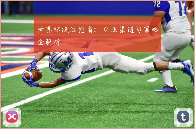 世界杯投注指南：合法渠道与策略全解析