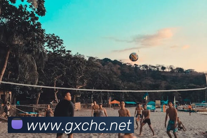 leyu乐鱼手机官网发展历程